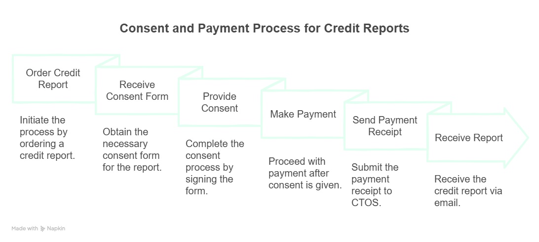 Flowchart outlining the 'Consent and Payment Process for Credit Reports', detailing steps from ordering to receiving the report.